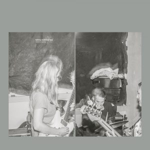 HEDVIG MOLLESTAD TRIO — SMELLS FUNNY
