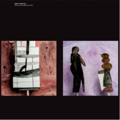 KJETIL MULELID TRIO — WHAT YOU THOUGHT WAS HOME