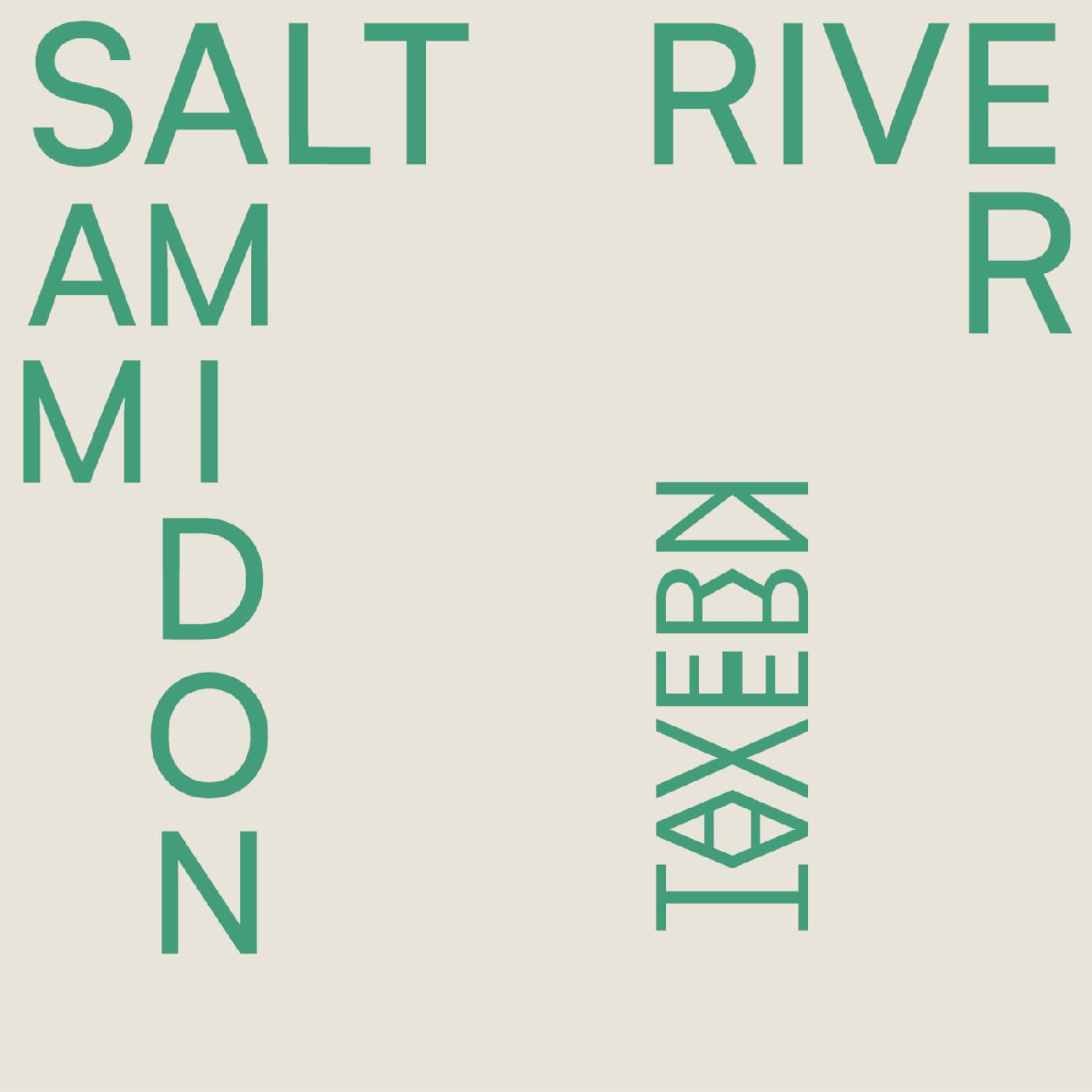 SAM AMIDON — SALT RIVER