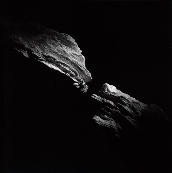 Kinkajous — Being Waves