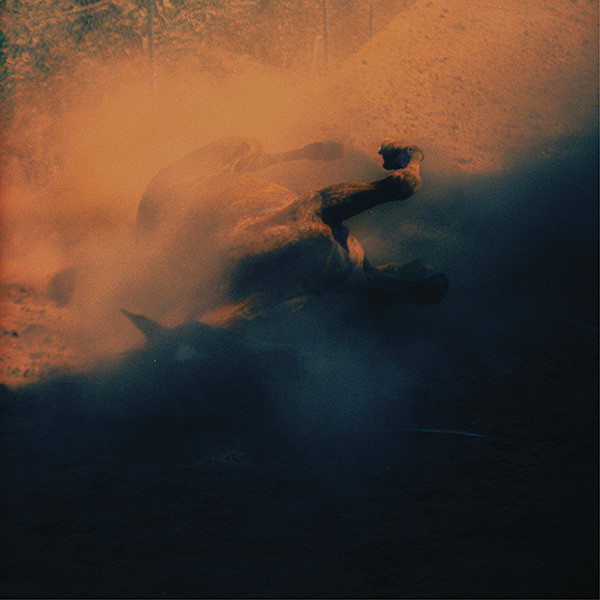 Son Of Philip — Plastic Borough