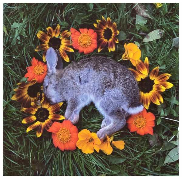 MONOLORD — YOUR TIME TO SHINE