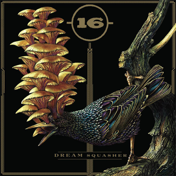 16 — DREAM SQUASHER