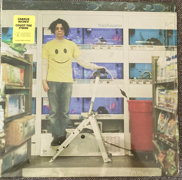 CHARLIE HICKEY — COUNT THE STAIRS