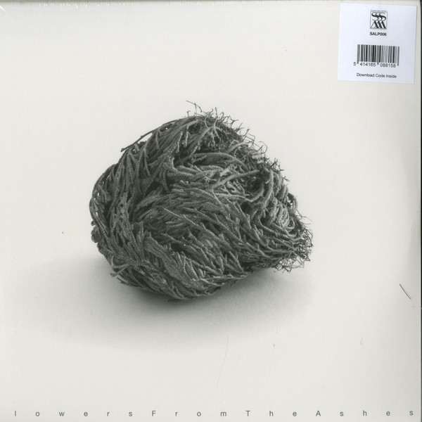Various Artists — Flowers from the Ashes: Contemporary Italian Electronic Music