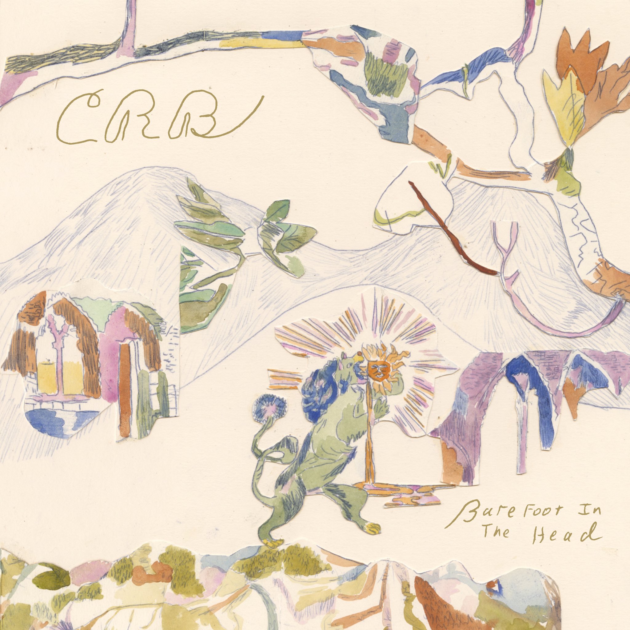 CHRIS ROBINSON BROTHERHOOD — BAREFOOT IN THE HEAD