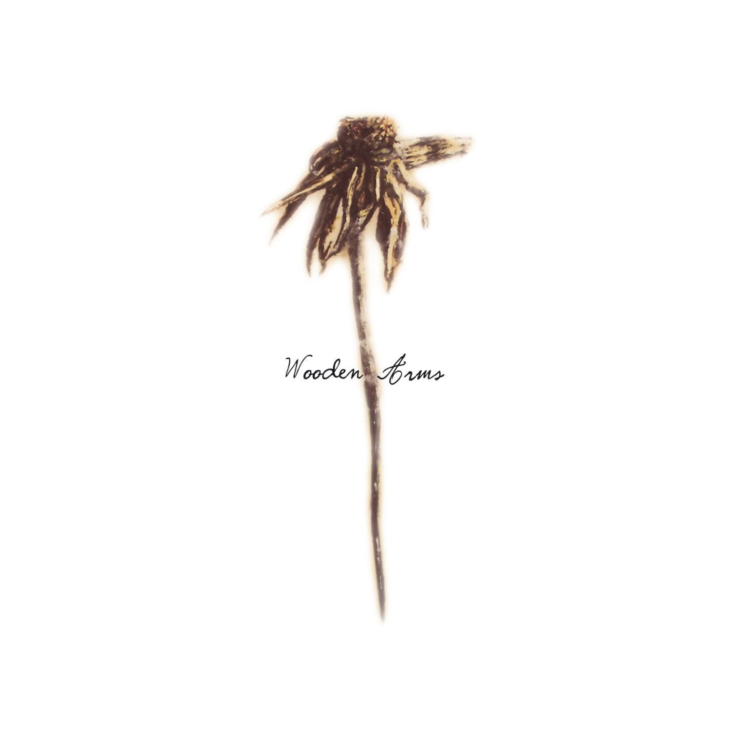 PATRICK WATSON — WOODEN ARMS