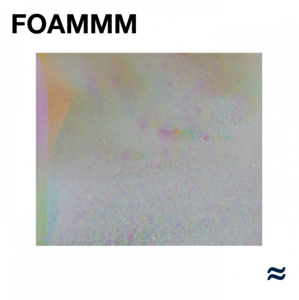 FOAMMM — Foammm