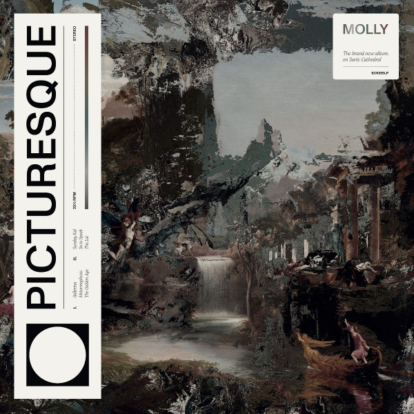 MOLLY — PICTURESQUE