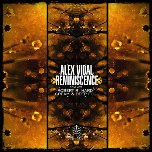 THE LAUNDERETTES — BACK FROM THE SEA