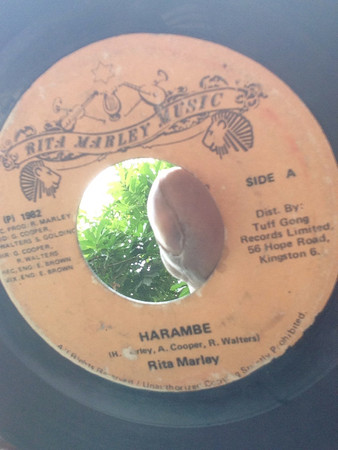RITA MARLEY — HARAMBE