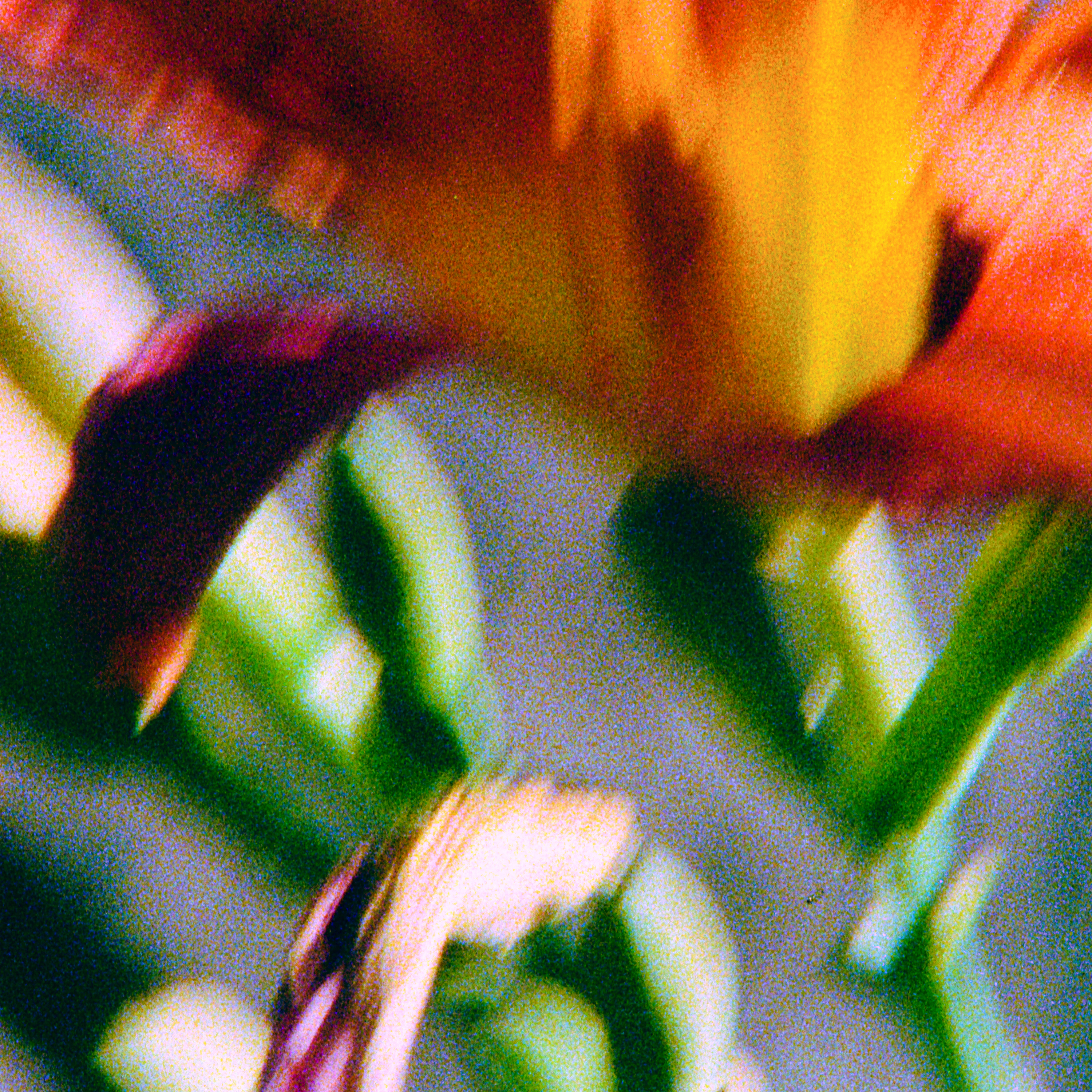 ARIEL — Something Amazing