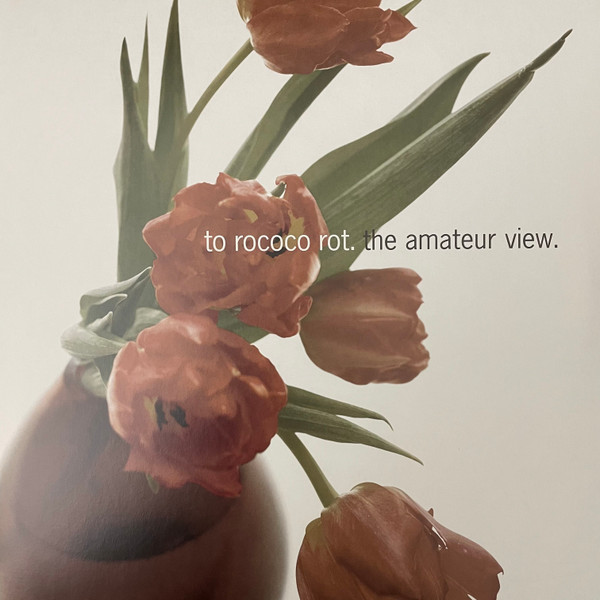 TO ROCOCO ROT — THE AMATEUR VIEW (EXPANDED EDITION 2025)