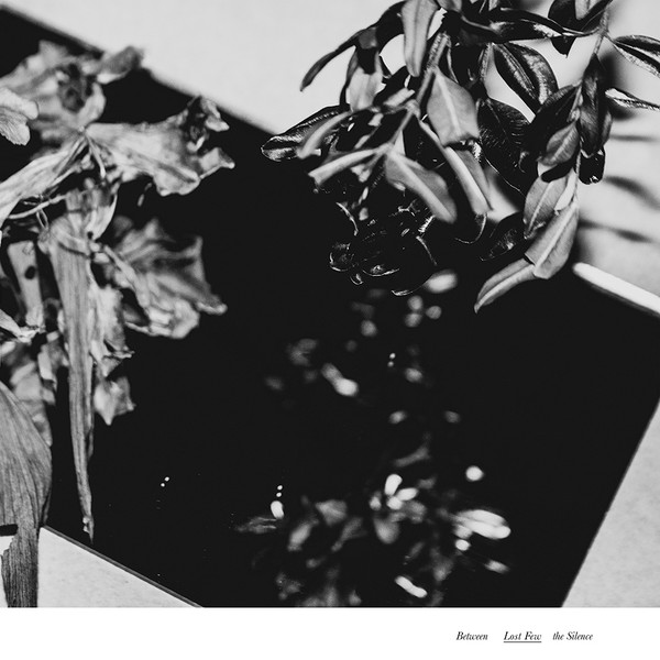 SKINNY LIVING — DAY BY DAY