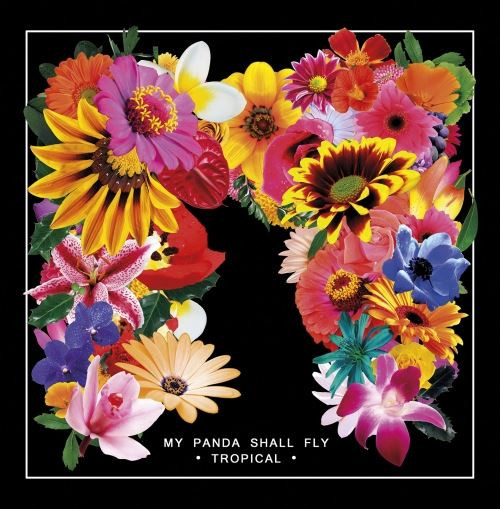 MY PANDA SHALL FLY — Tropical