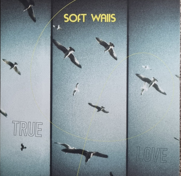SOFT WALLS — TRUE LOVE