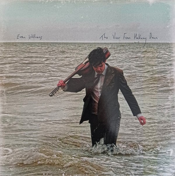 EVAN WILLIAMS — VIEW FROM HALFWAY DOWNTHE