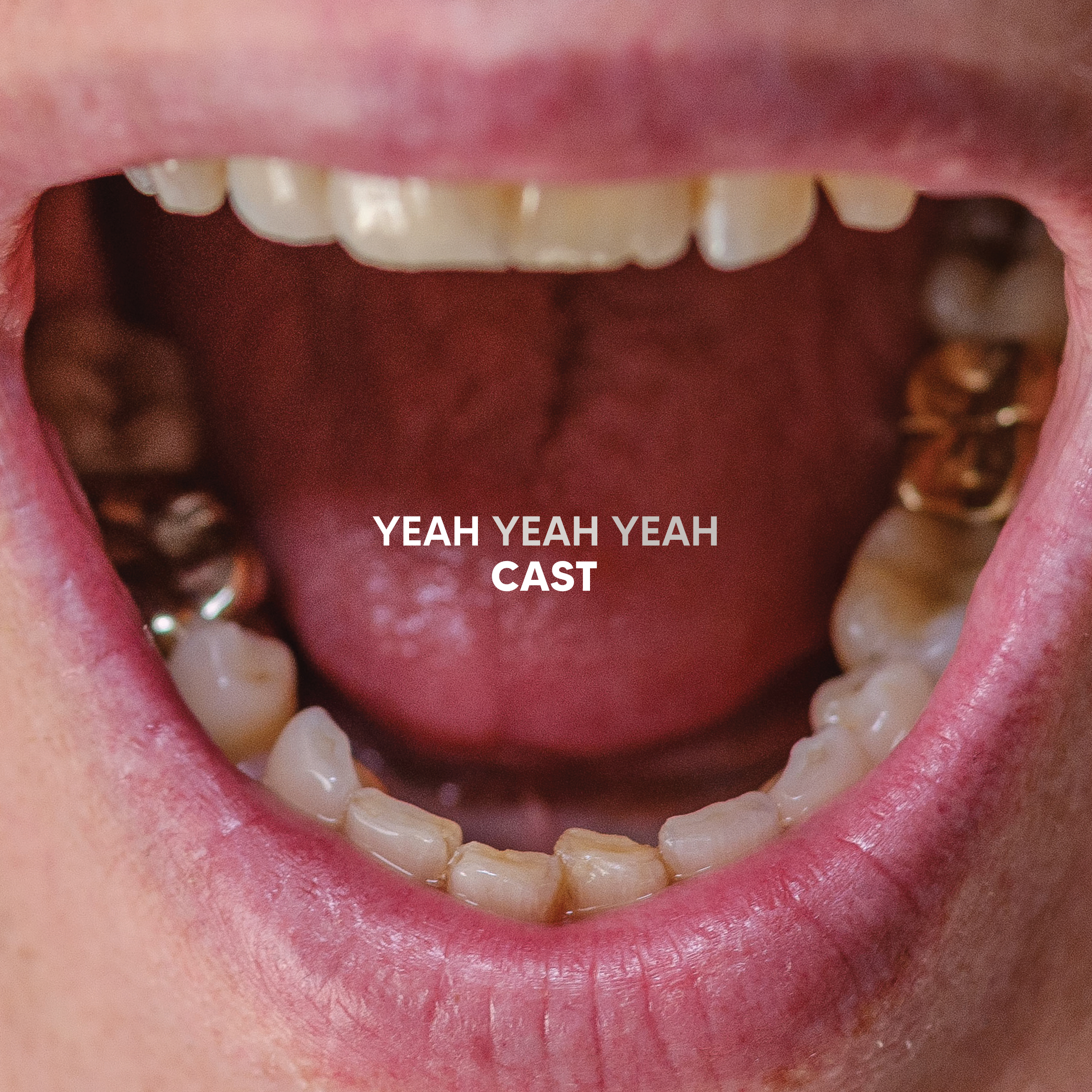 CAST — Yeah Yeah Yeah