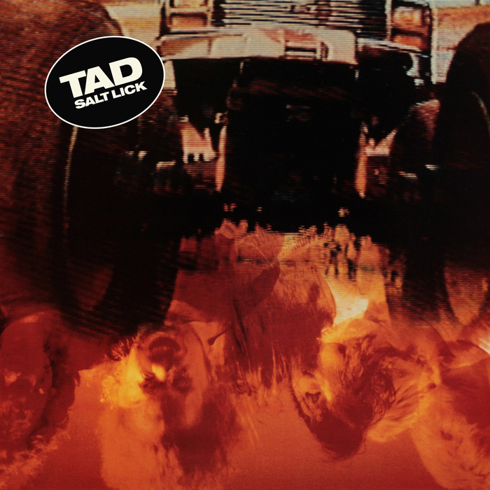 TAD — SALT LICK