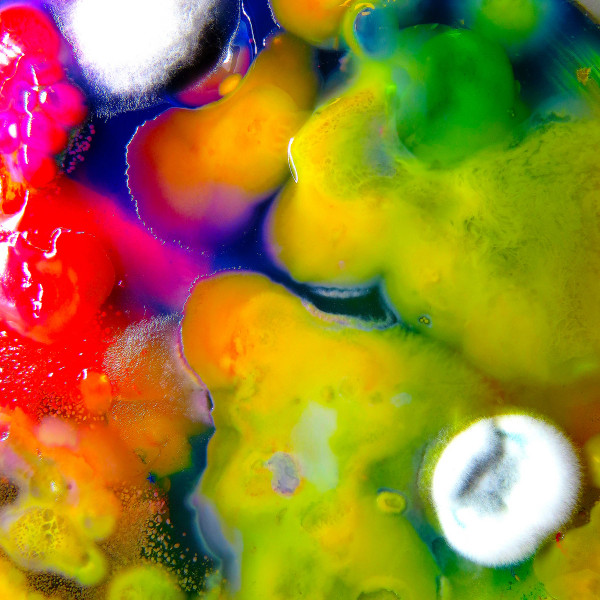 GUERILLA TOSS — FAMOUSLY ALIVE