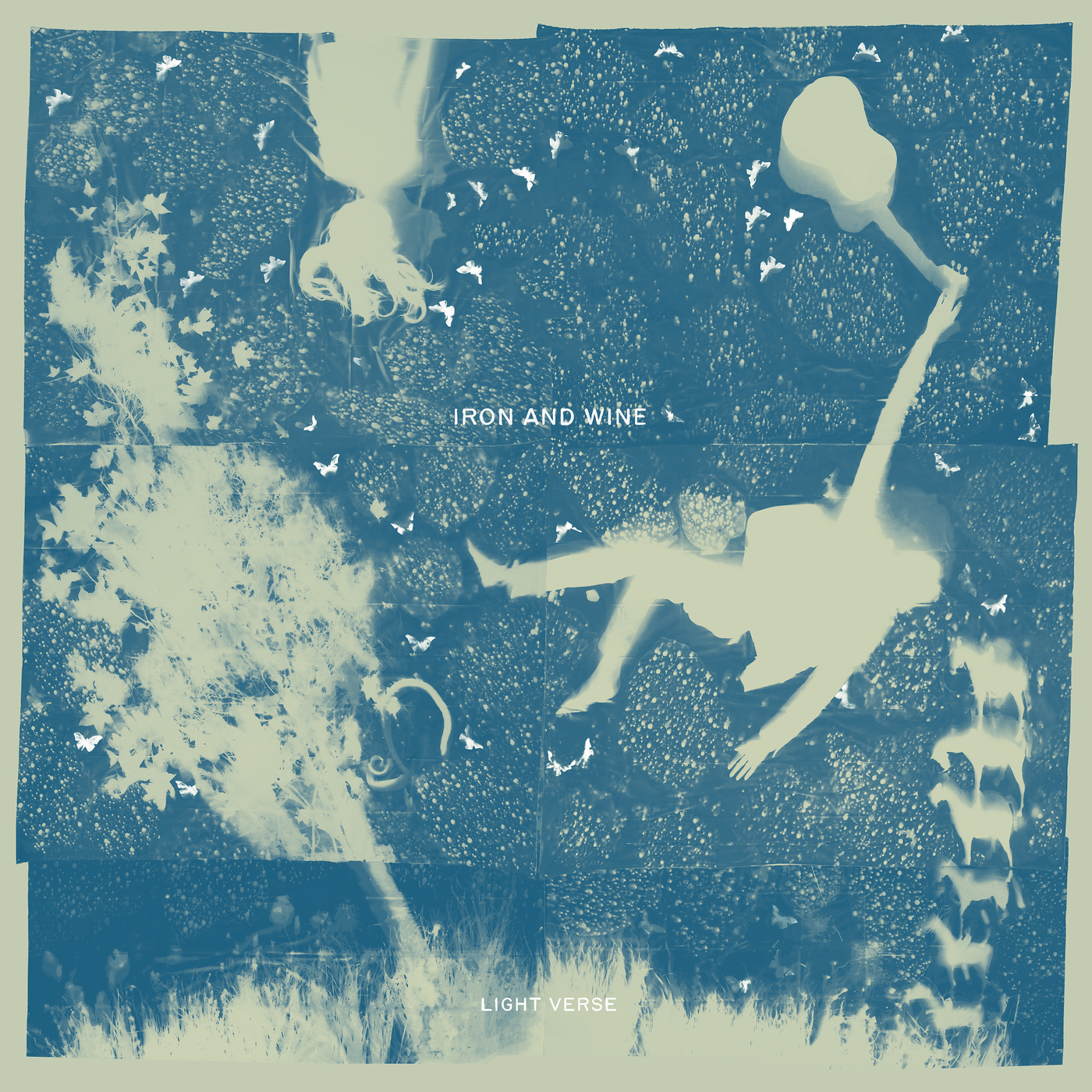 IRON & WINE — LIGHT VERSE