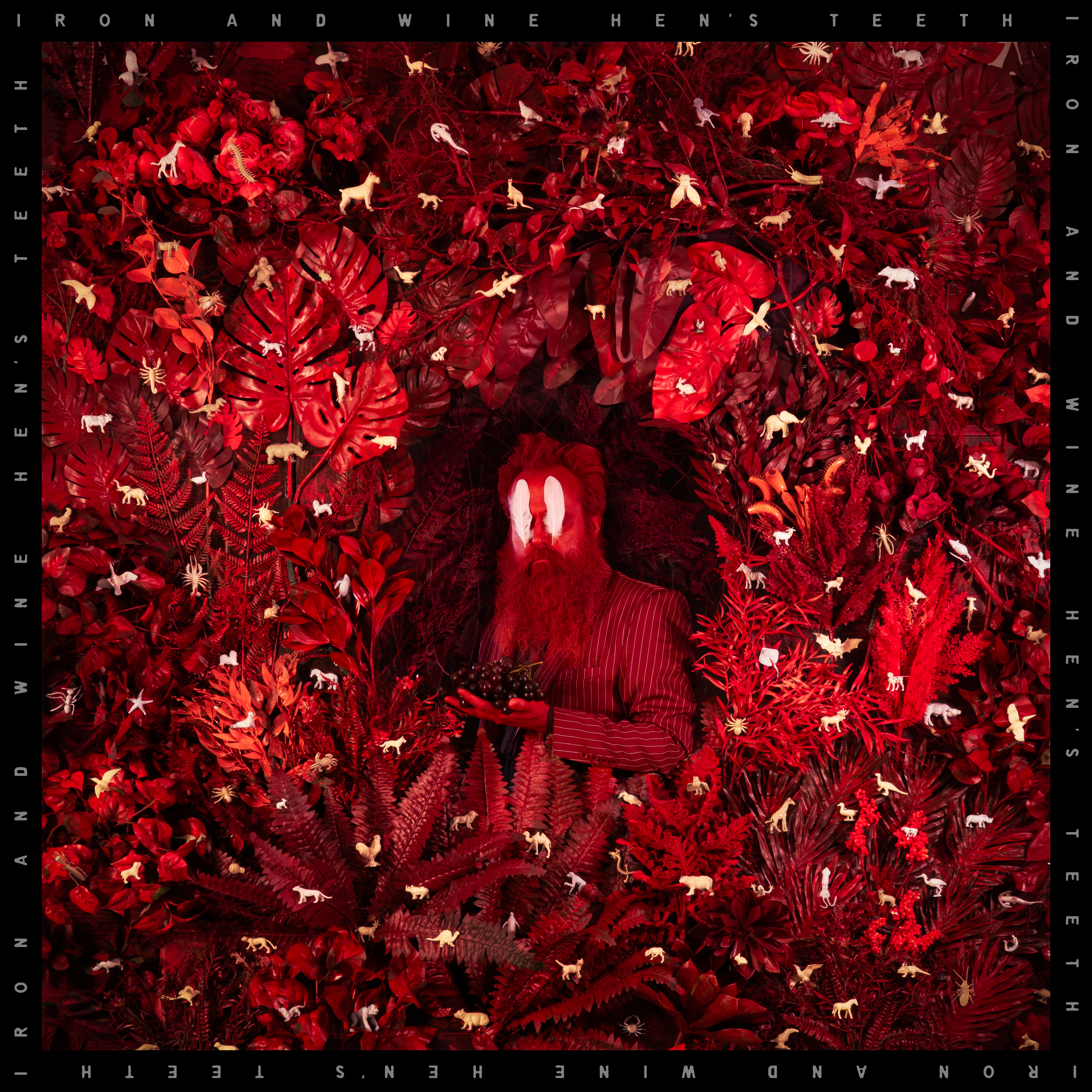 IRON & WINE — Hens Teeth