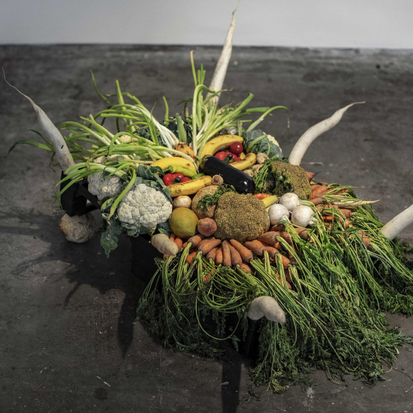 JESSE OSBORNE-LANTHIER — LEFT MY BRAIN @ CAN PAIXANO (LA XAMPANYERIA)