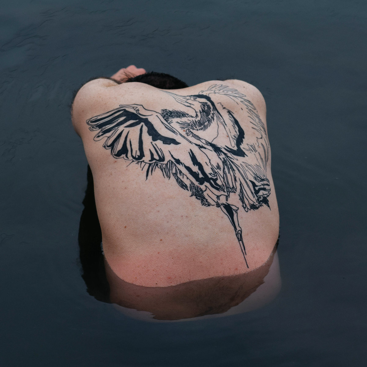 JODI — BLUE HERON
