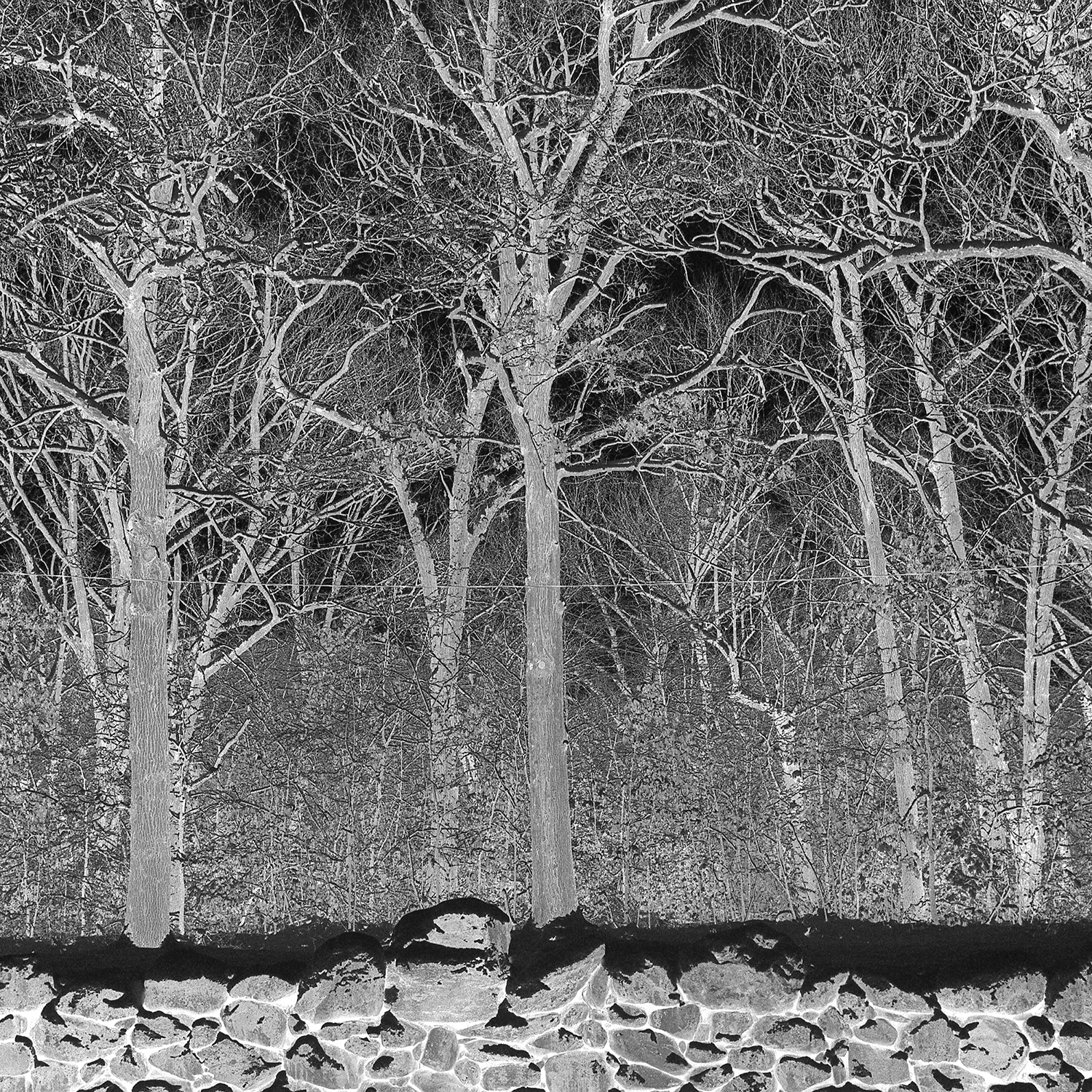 PILE — SUNSHINE AND BALANCE BEAMS