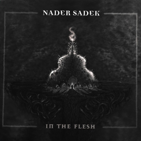 NADER SADEK — IN THE FLESH