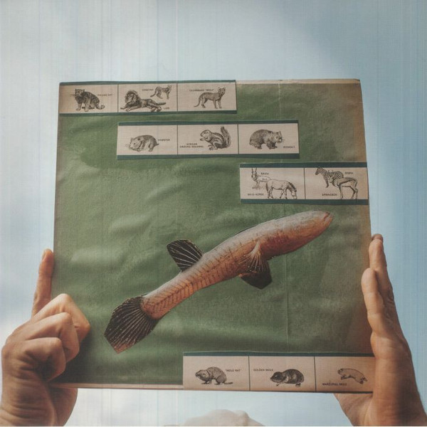 COTTON JONES — THE RIVER STRUMMING