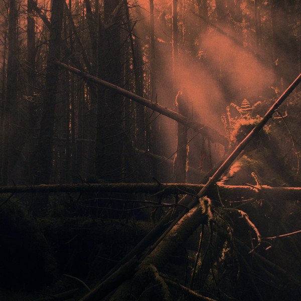 BURNING HEADS — Burning Heads (Orange Vinyl)