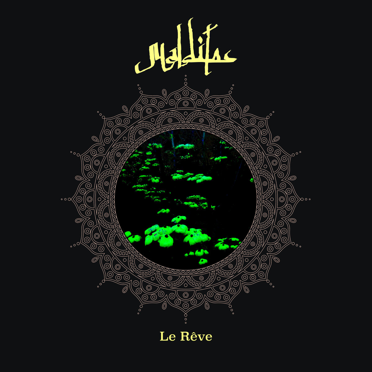 MALDITOS — LE REVE