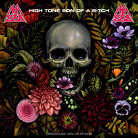 HIGH TONE SON OF A BITCH — LIFECYCLES