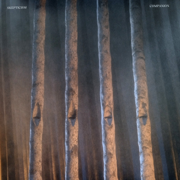 SKEPTICISM — COMPANION