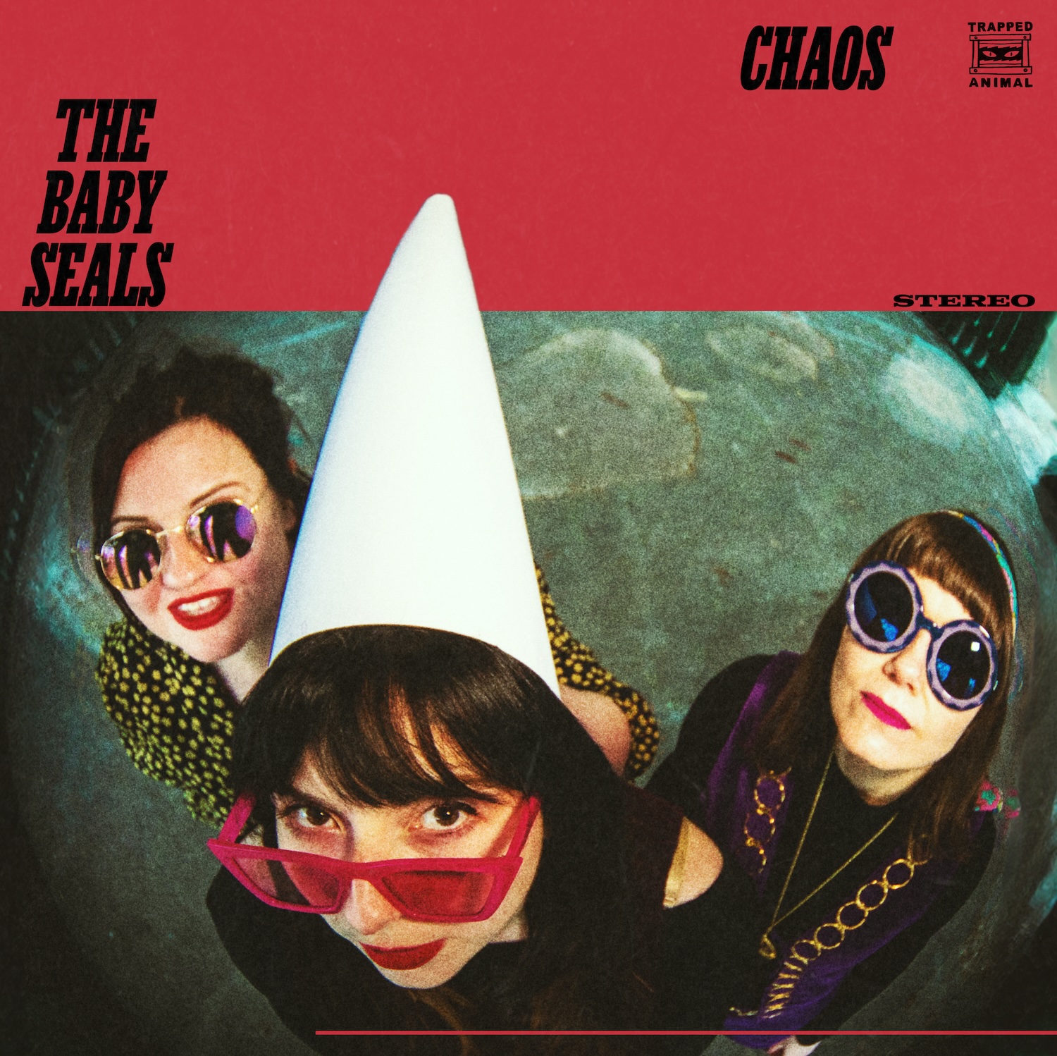 THE BABY SEALS — CHAOS