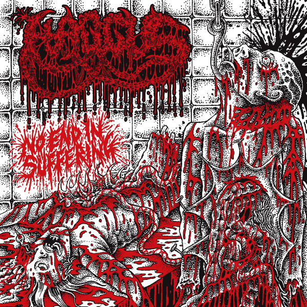HAGGUS — NO END IN SUFFERING