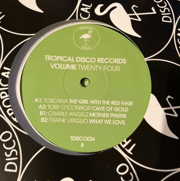 Various Artists — Tropical Disco Records, Vol. 24