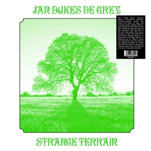 JAN DUKES DE GREY — Strange Terrain