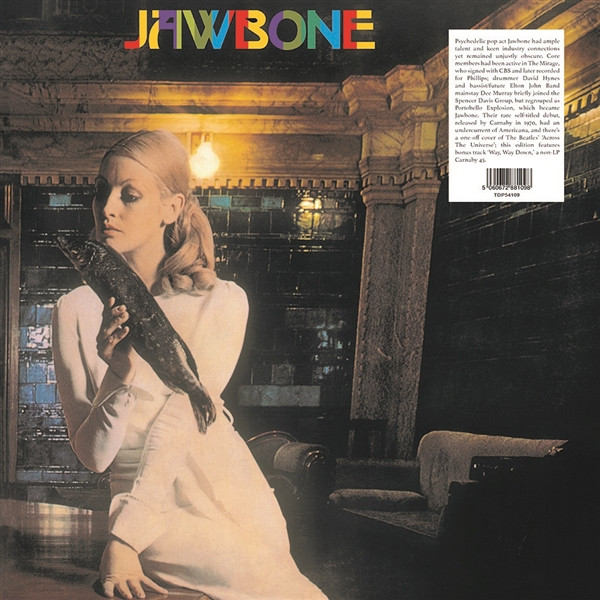 JAWBONE — Jawbone