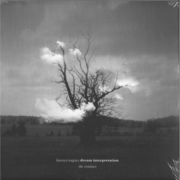 KAZUYA NAGAYA — Dream Interpretation (The Remixes)