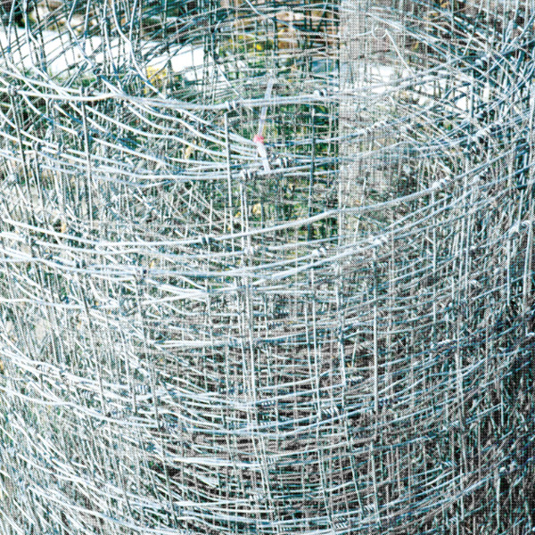 DAIGOS — Tao Yuan Xiang (Tougen-Kyo)