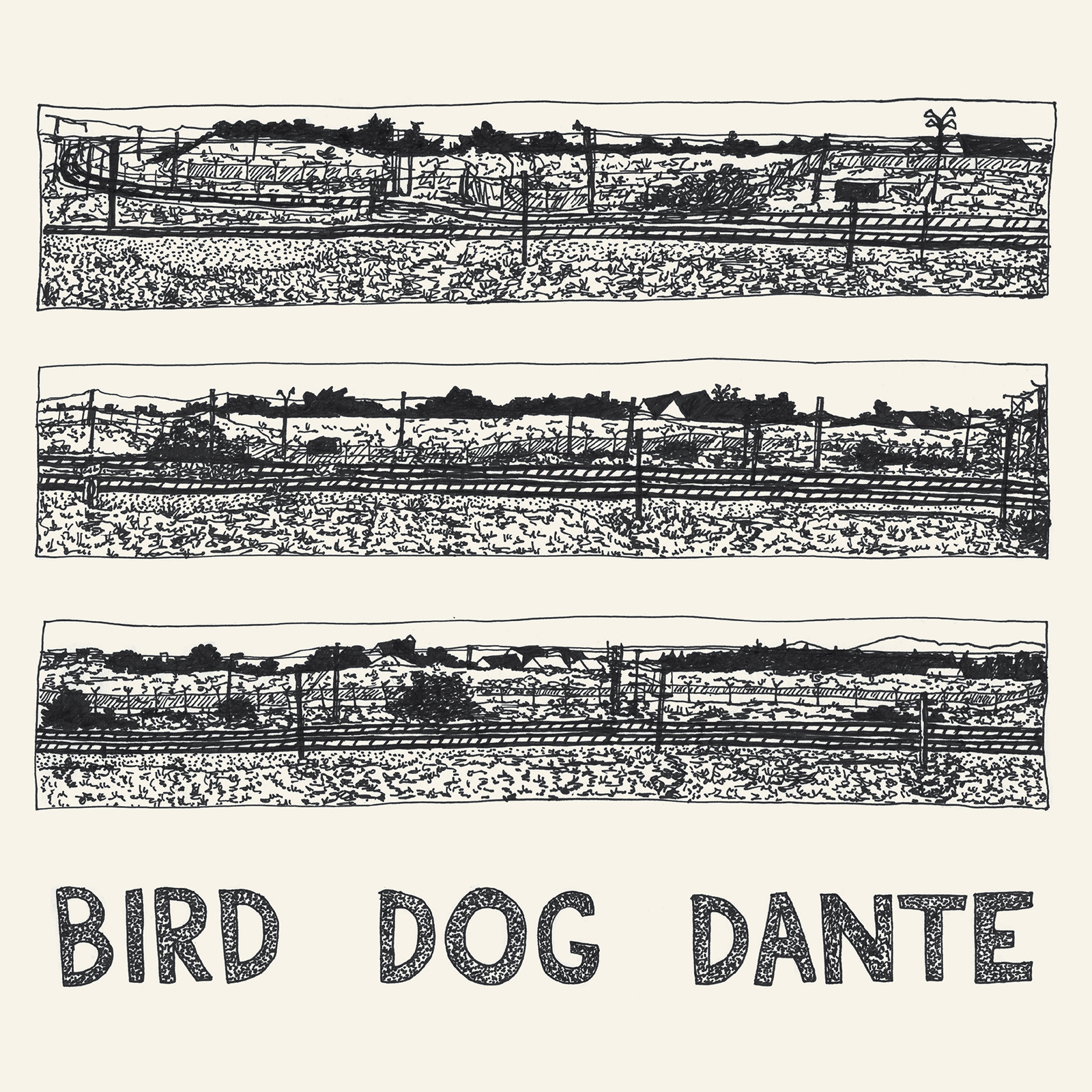 JOHN PARISH — Bird Dog Dante