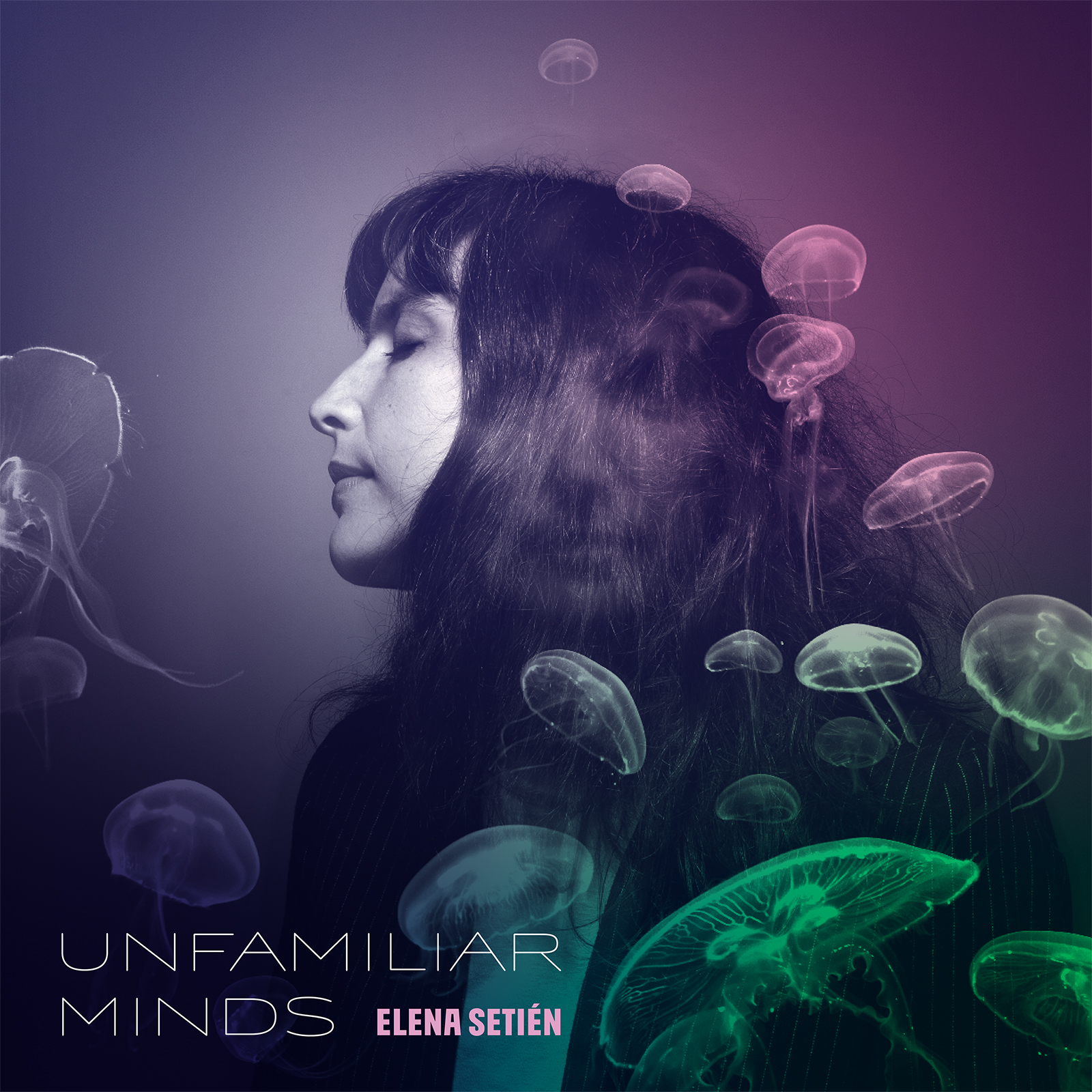 ELENA SETIEN — Unfamiliar Minds