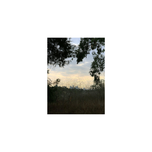 JON PORRAS — Arroyo