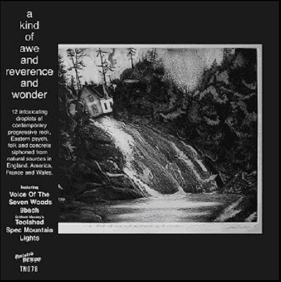 VARIOUS ARTISTS — A Kind Of Awe And Reverence And Wonder