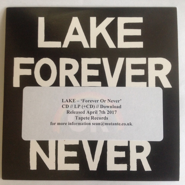 LAKE — FOREVER OR NEVER
