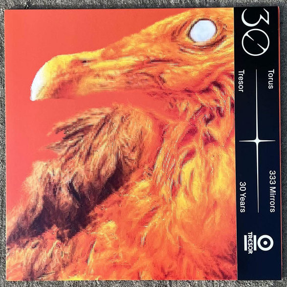 TORUS — 333 MIRRORS