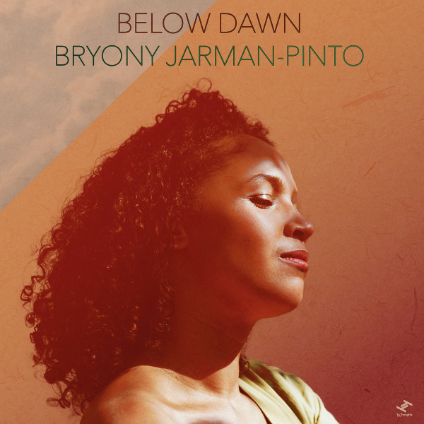Bryony Jarman-Pinto — Below Dawn