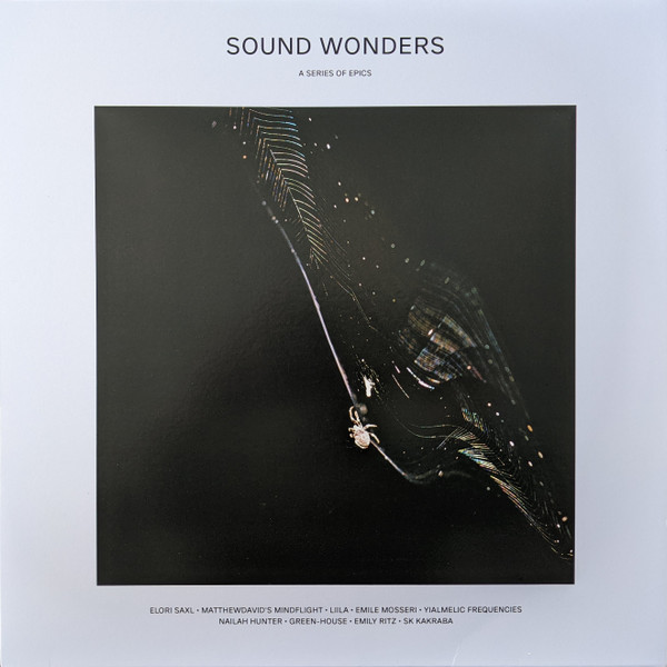 VARIOUS ARTISTS — SOUND WONDERS